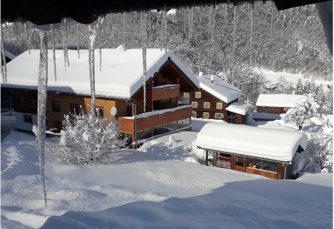 Bild 12