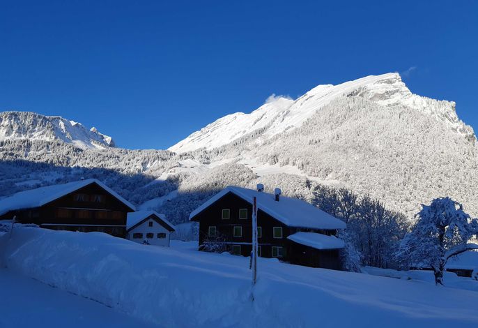 Bild 15