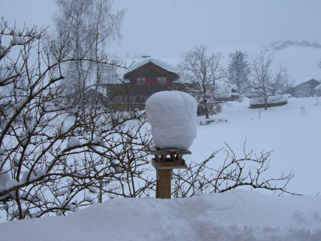 Vogelhaus auf der Terasse