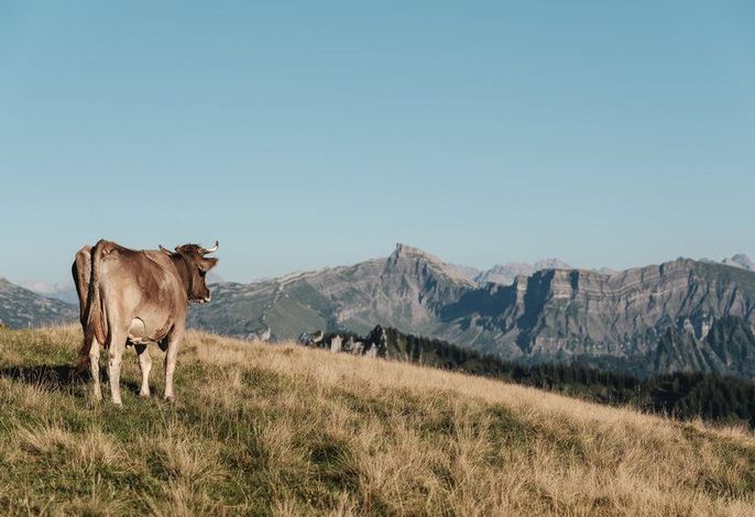 Bild 58