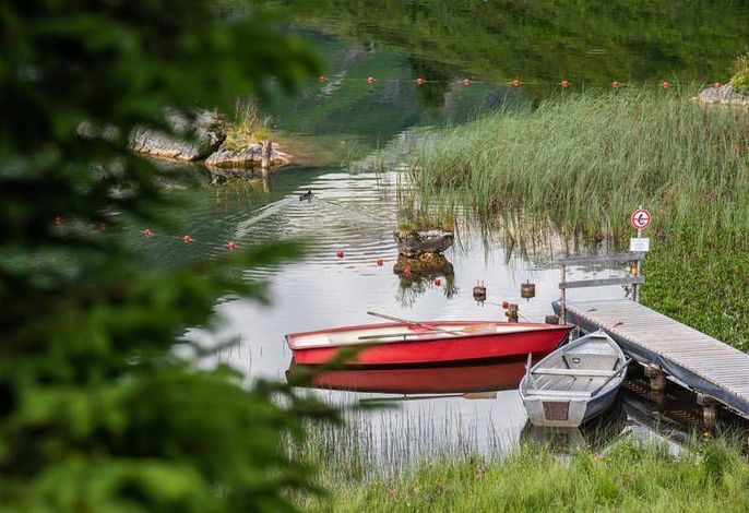 Bild 45