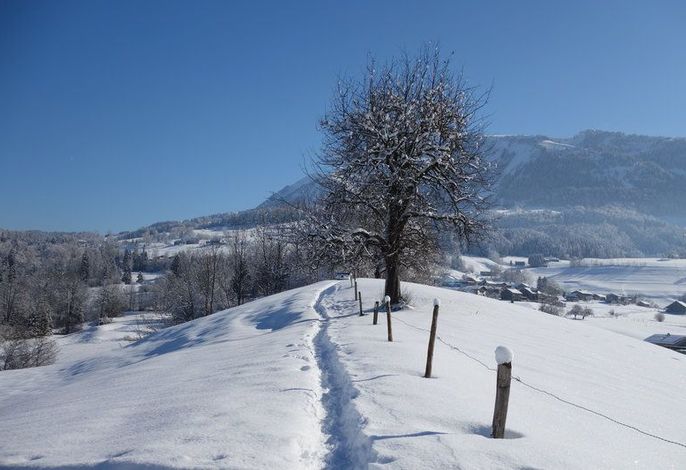 Ferienwohnungen Schantl im Bregenzerwald – Foto 3