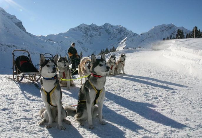 Ferienwohnungen Schantl im Bregenzerwald – Foto 5