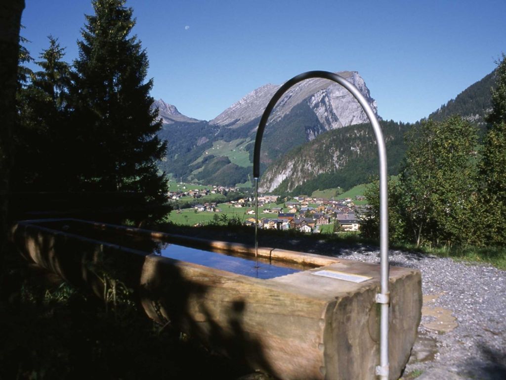 Natur-Erlebnis Holdamoos