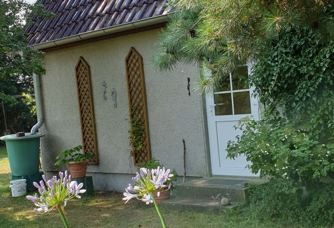 Ferienhaus Zaunkönig