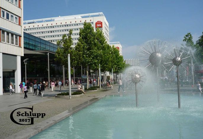 Bild 16