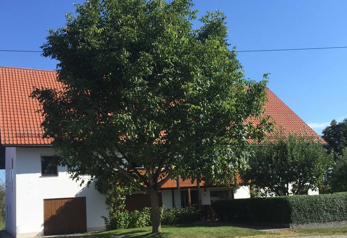 Ferienwohnung Andrea im schönen Tannheim, Baden-Württemberg