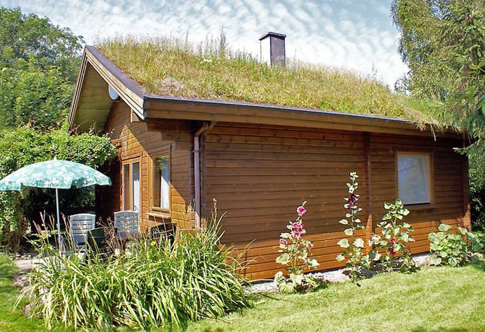 Ferienhaus Hof Dammhahl