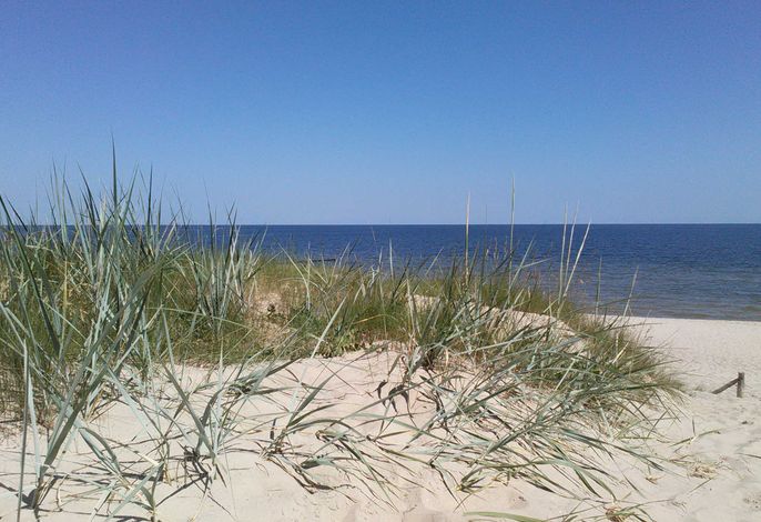 Bild 20