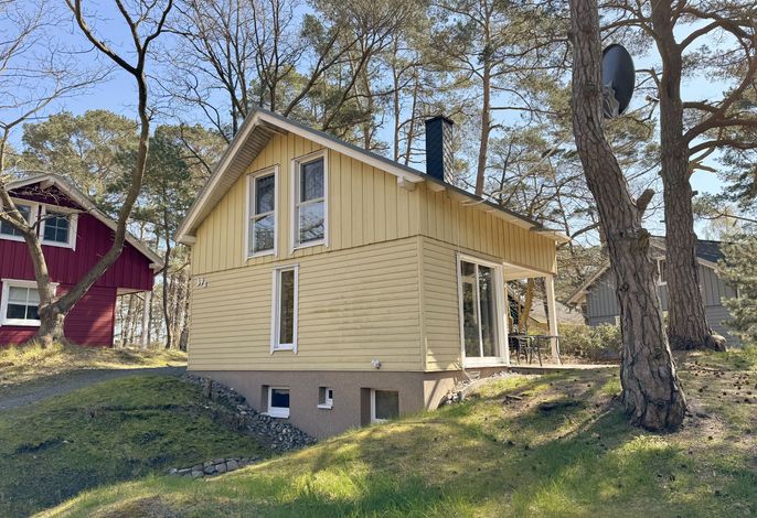 Strandhaus Dünenweg 39a mit Terrasse/Sauna/Kamin