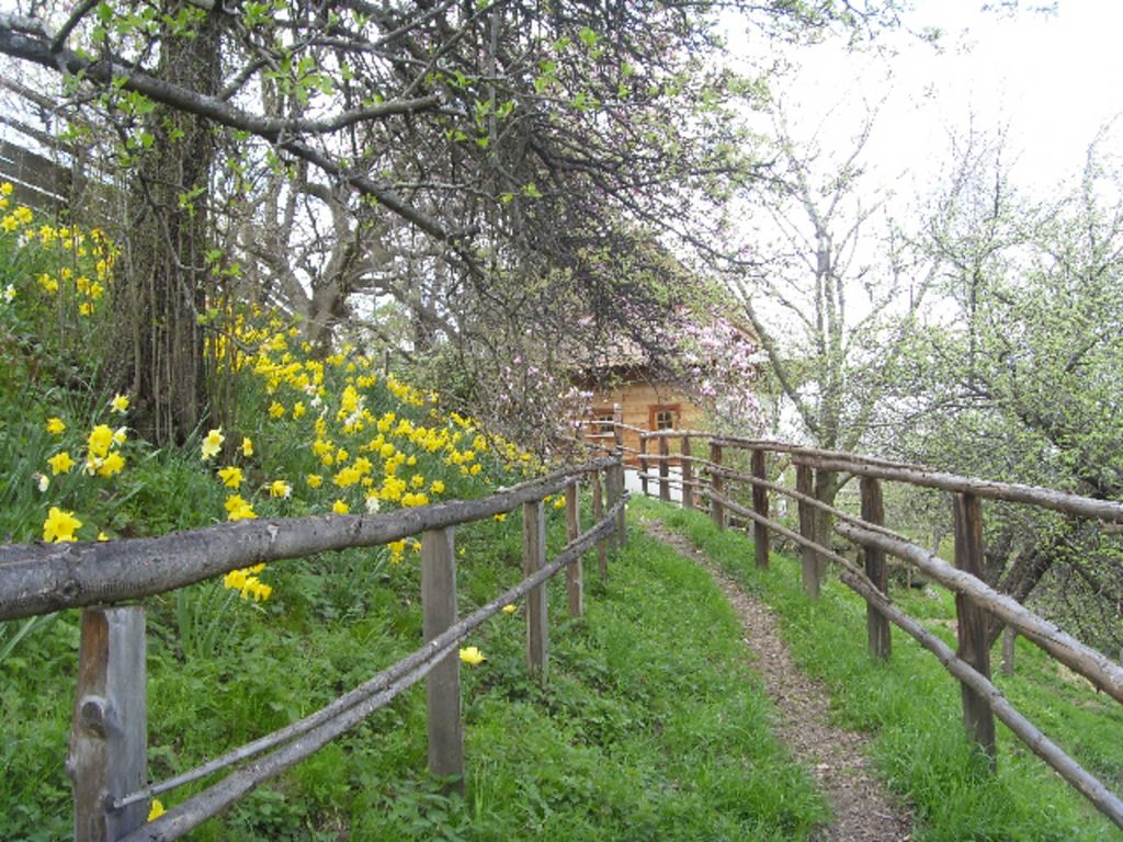Kronaushof