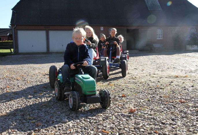 Photo Ferienhof Schmeling 6