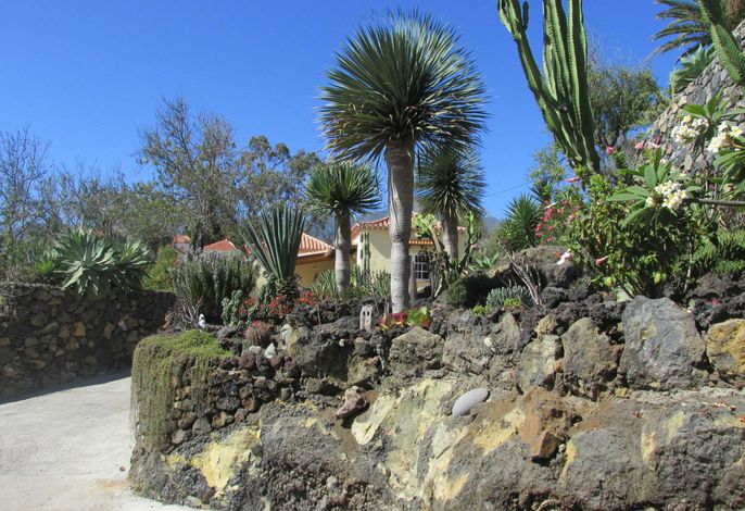 Casa Palmera B