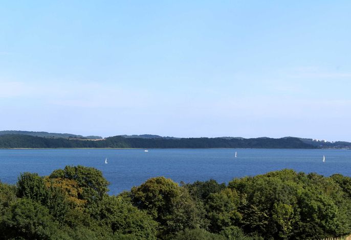 Bild 15
