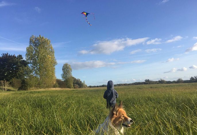 Bild 14