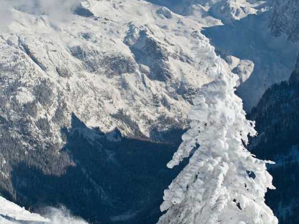 Metzgerwirt VIEH HELI