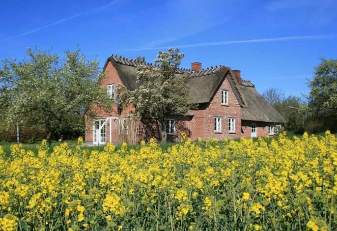 Ferienhaus Altes Schusterhus