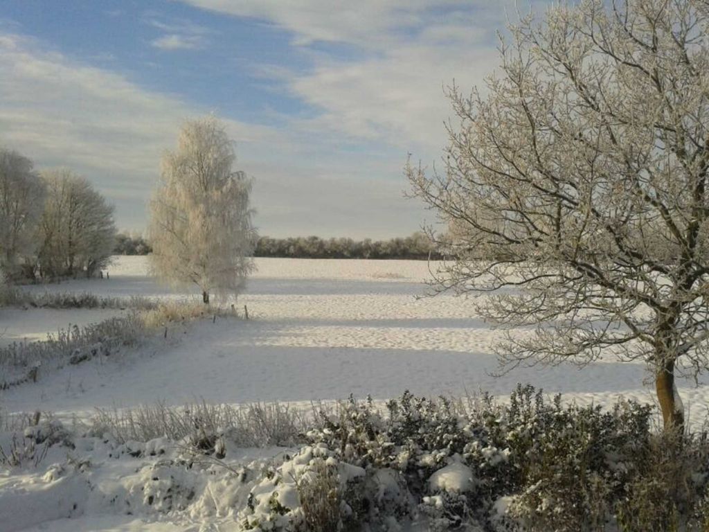 Im Winter