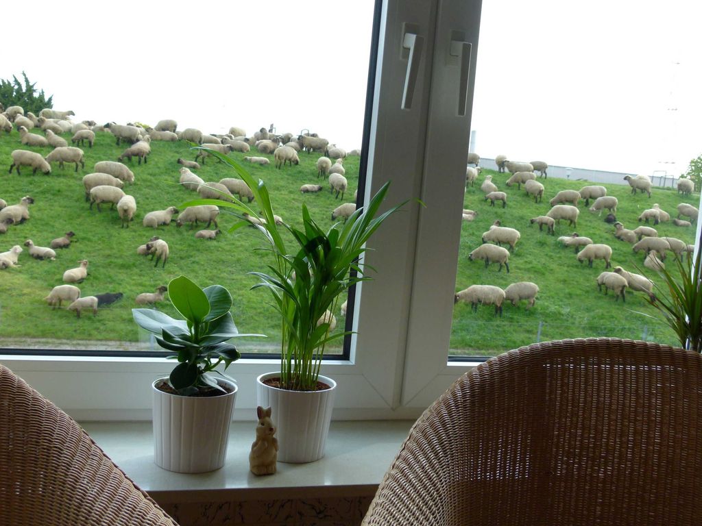 Blick aus dem Wohnzimmerfenster