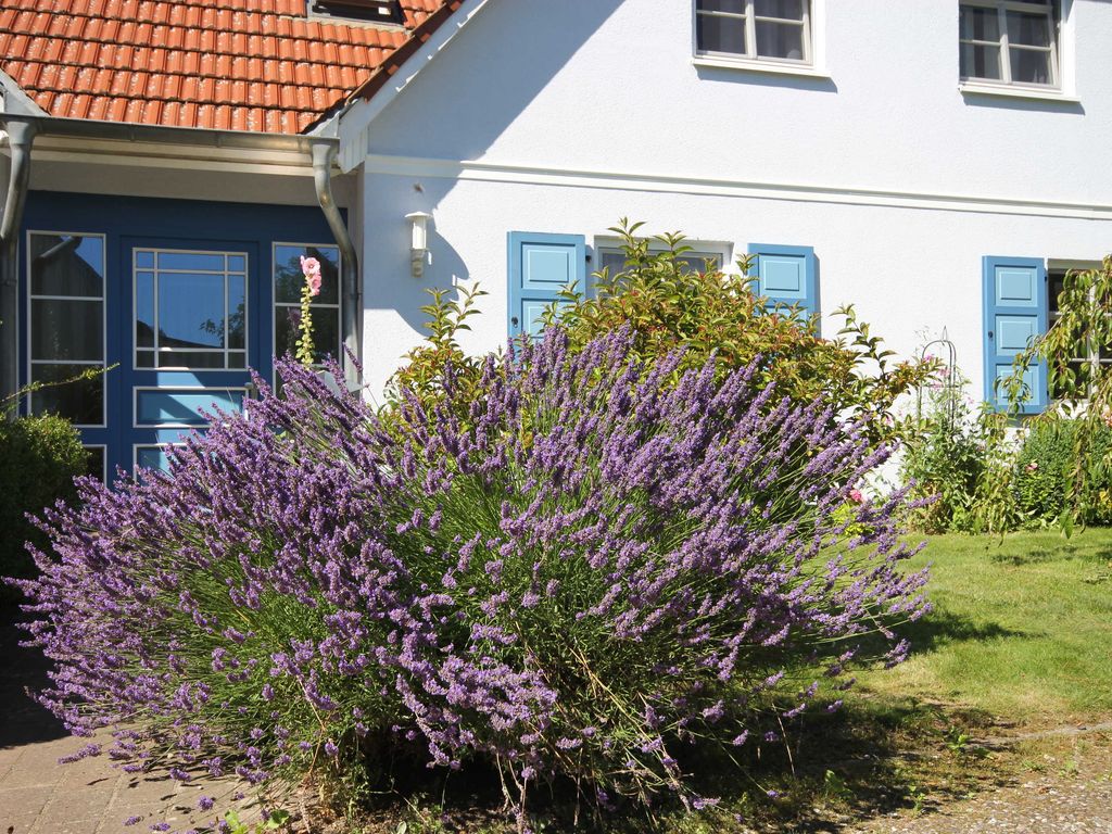 Abels Strandkoje