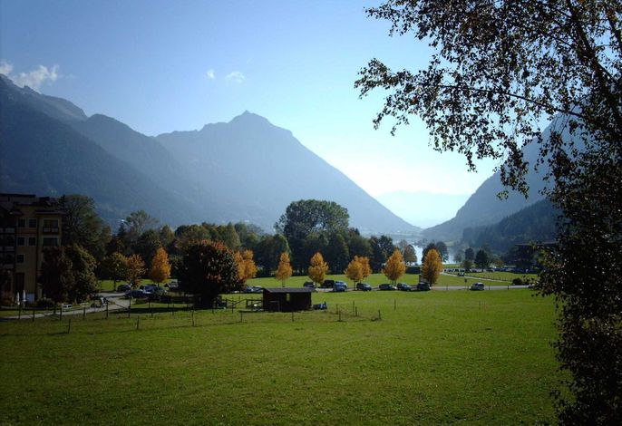 Bild 15