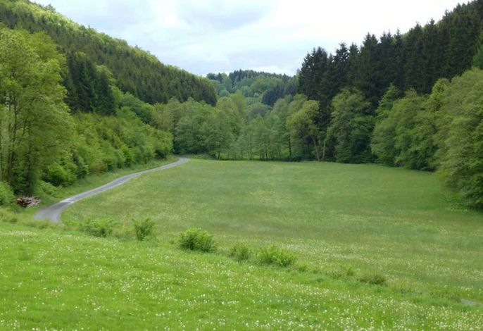 Bild 13