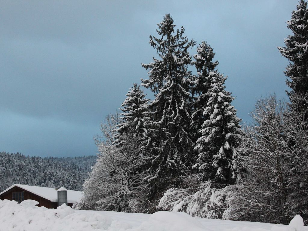 Winter in Alberschwende