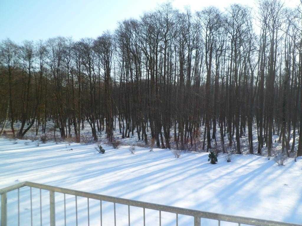 Blick vom Balkon im Winter