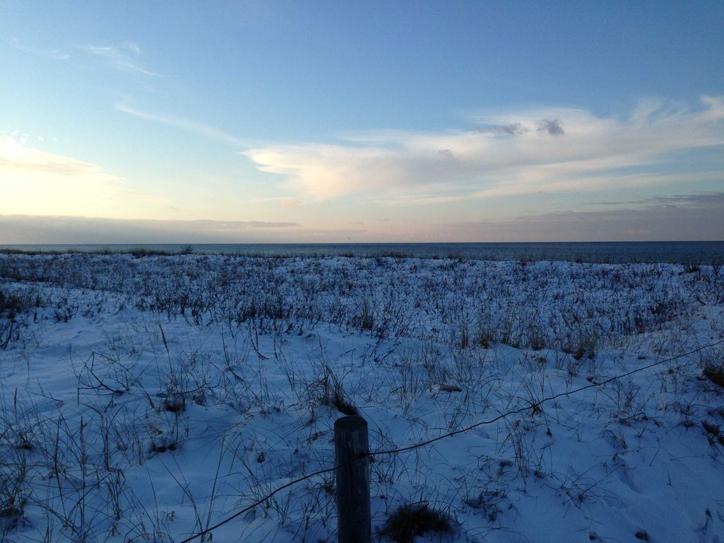 Dünen im Winter