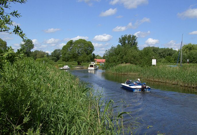 Bootsfahrt auf der Peene