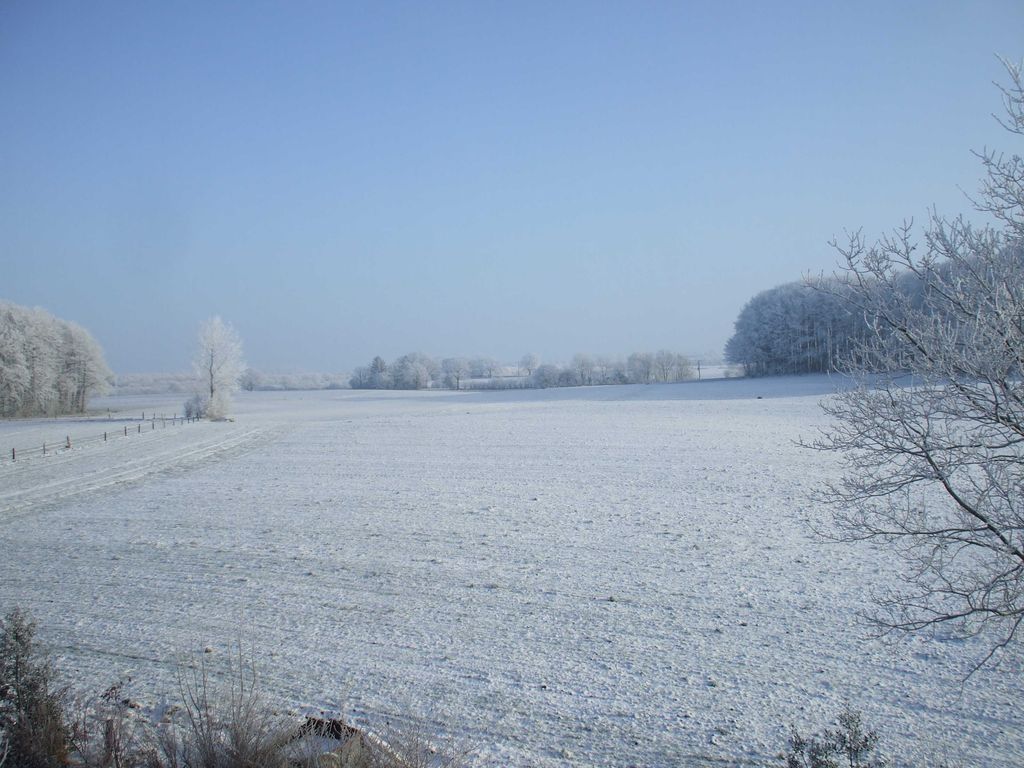 Aussicht Umgebung Ferienhof Truelsen