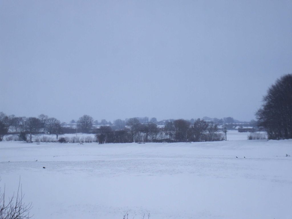 Aussicht Umgebung Ferienhof Truelsen