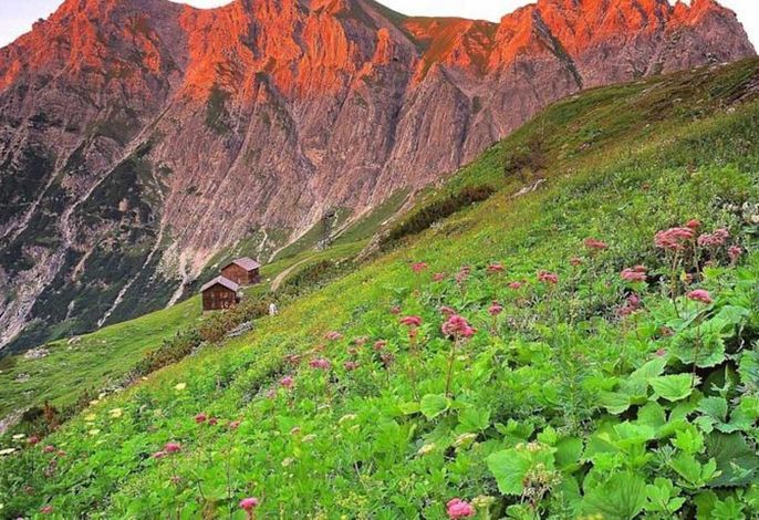 Bild 56