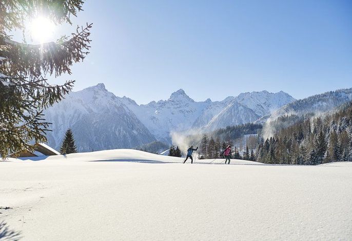 Bild 19