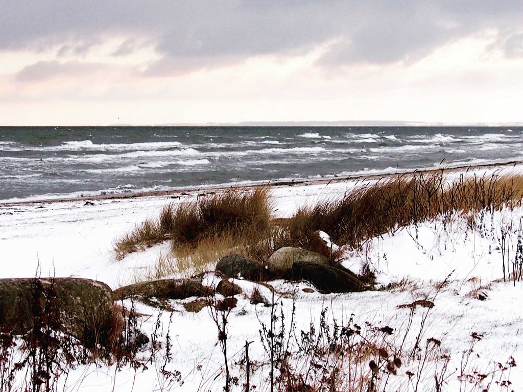 Reetdachkate Dörphof Schuby, Ostsee