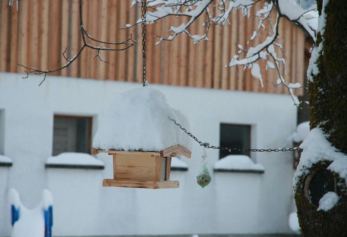 Bild 19