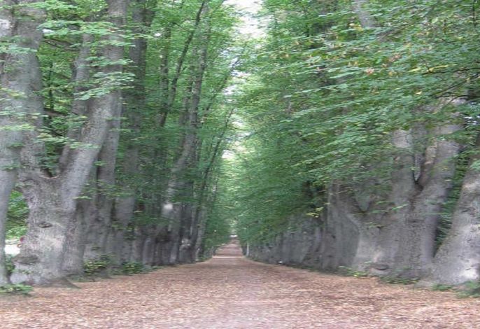 Bild 29