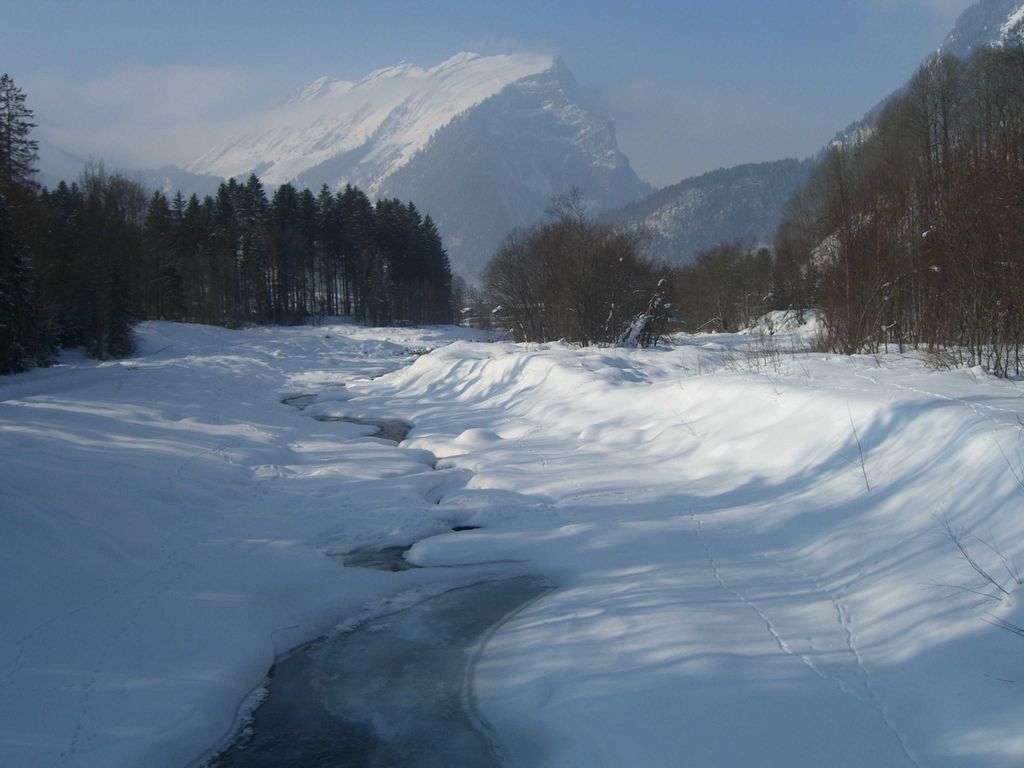 Bregenzerache