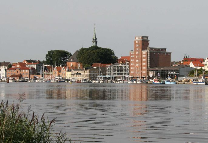 Bild 8