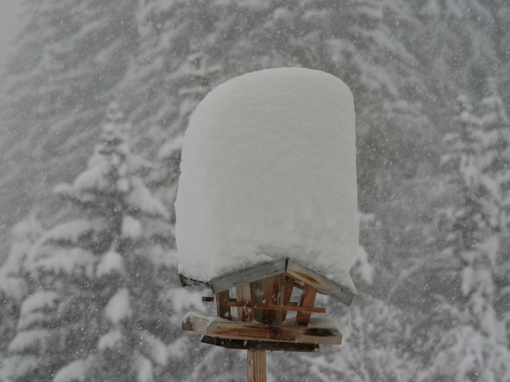 Schnee :-)