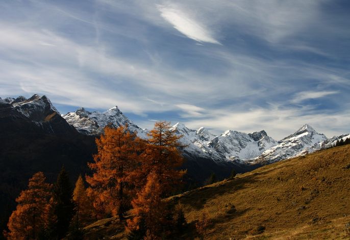 Bild 23