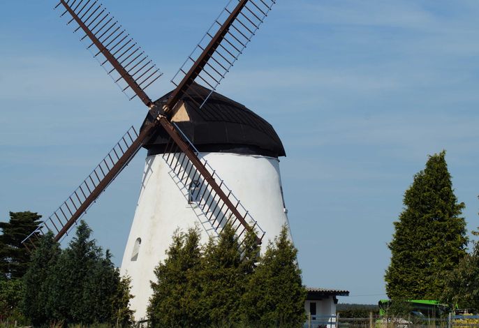 Mühlenurlaub Südheide – Foto 2