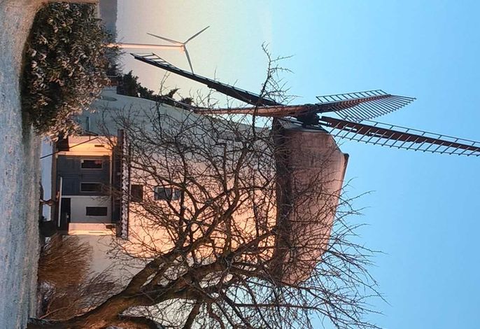 Bild 18