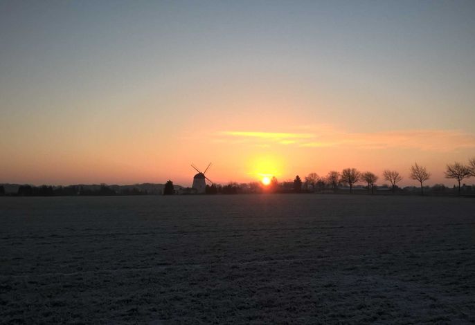 Bild 17