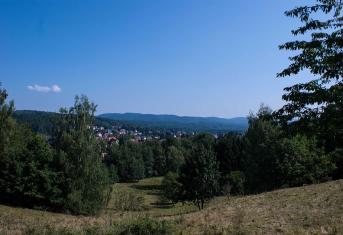 Bild 19