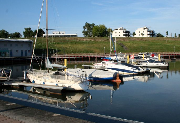 Bild 11