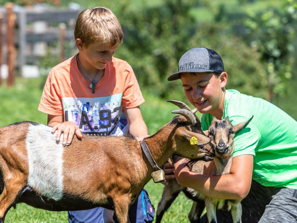 Kinder und Tiere
