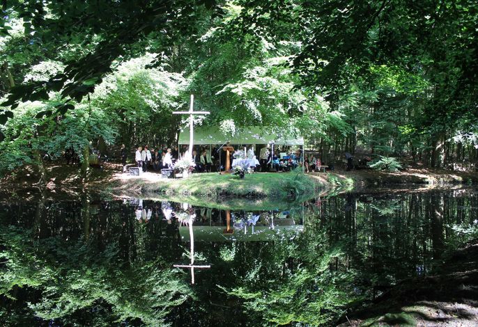Bild 54