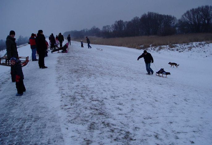 Bild 15