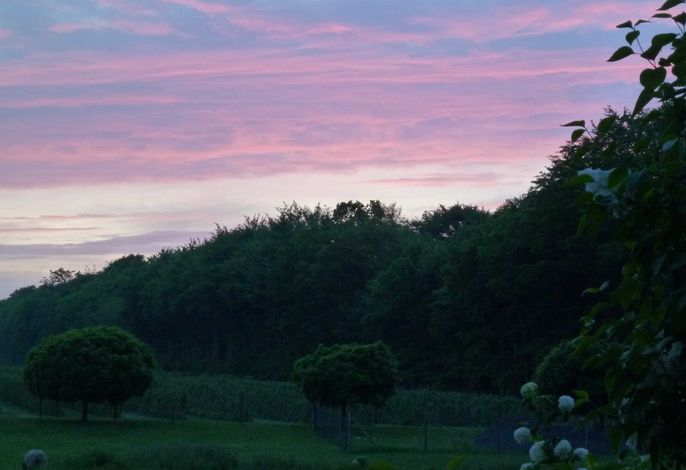 Bild 52